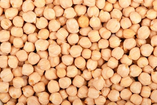 Chick Pea White