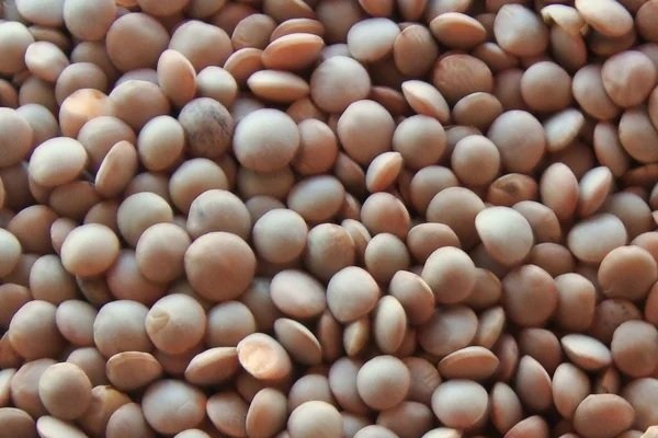 Lentils